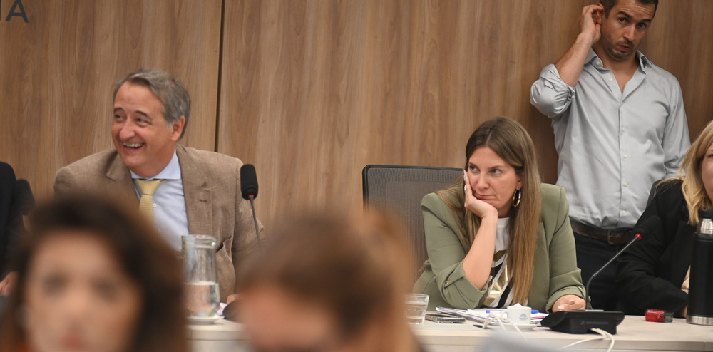 Nicolas Mayoraz y Silvia Lospennato, en el plenario de comisiones por Ficha Limpia. Foto Federico López Claro | Clarín&nbsp;