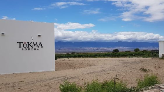 El noroeste a través de la bodega Tukma: cómo son sus vinos y a dónde apunta la región