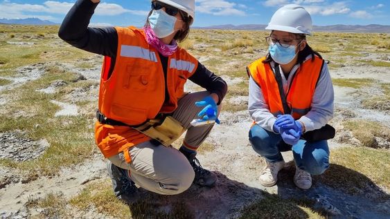 La actividad minera promueve a su vez el desarrollo de empresas activas que proveen bienes y servicios a las compañías enfocadas en el rubro.