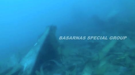El avión de Lion Air que se estrelló en el mar tenía una falla para medir la velocidad