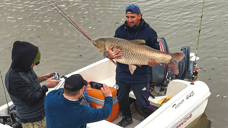 El Gran Pez: impactantes fotos y videos de tres mendocinos que pescaron un ejemplar de 32 kilos y 1,35 metros
