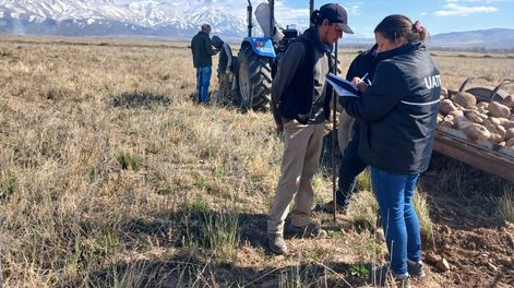 Detectaron trabajo en negro e irregularidades de seguridad en una finca en Tupungato&nbsp;