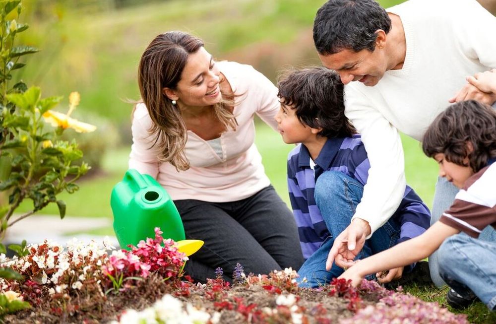 Jardinería