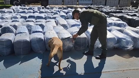 Incautaron más de 7 toneladas de hoja de coca en un camión en Córdoba.