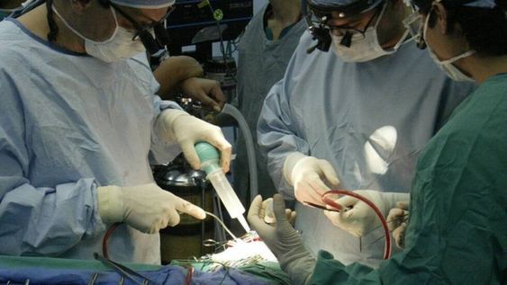 Sociedades científicas argentinas se expresaron en favor de sostener el sistema tradicional de residencias médicas
