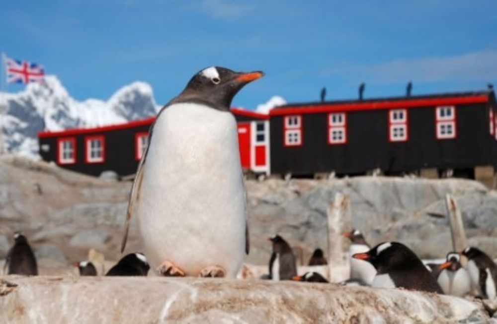 Es sólo por la temporada, que dura cinco meses. (Instagram: @ukantarcticheritagetrust)