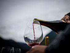 Aprueban en Argentina los vinos sin alcohol o con menor graduación alcohólica. Aprueban en Argentina los vinos sin alcohol o con menor graduación alcohólica.