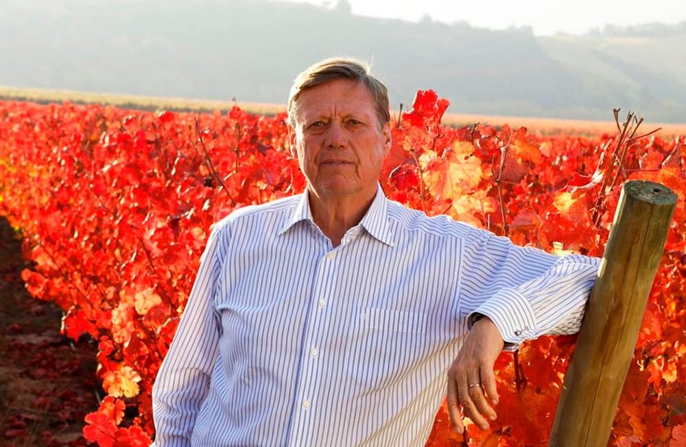 Yo sentía que en mi país se estaban haciendo las cosas mal, que había un nicho para la calidad en el mundo y que Chile no lo veía; los empresarios vitivinícolas no se atrevían a competir con Francia, España o Italia… yo no tenía miedo.