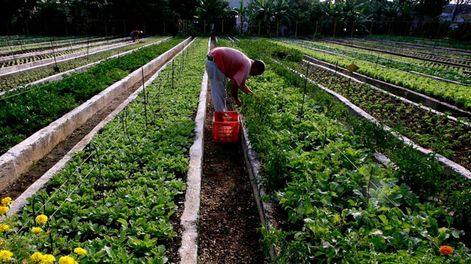 La provincia lanzó una línea de crédito para que las agroindustrias puedan financiar la compra de materia prima en hasta 3 años, con un período de gracia de 12 meses