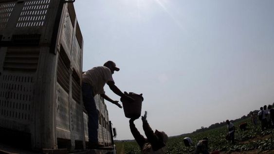 Tras la cosecha. Los problemas en el almacenamiento, transporte y distribución de los alimentos generan pérdidas de miles de toneladas (AP).