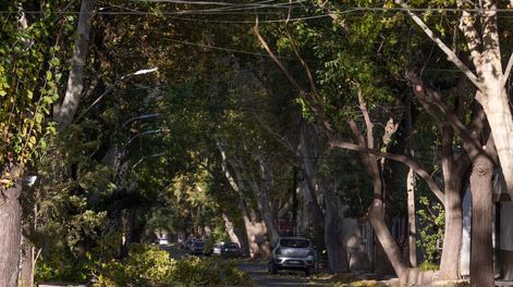 Consejos preventivos frente a la alerta por viento zonda
