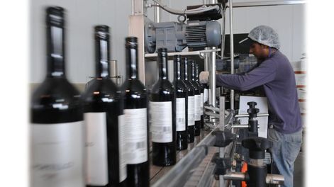 Quieren reactivar la economía pero no saben cómo - Por Rodolfo Cavagnaro