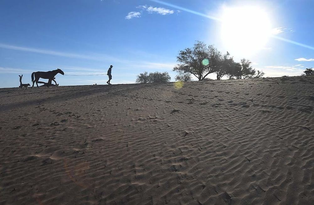La sequía marca los caminos en zonas rurales y ganaderas. Foto: José Gutiérrez / Los Andes