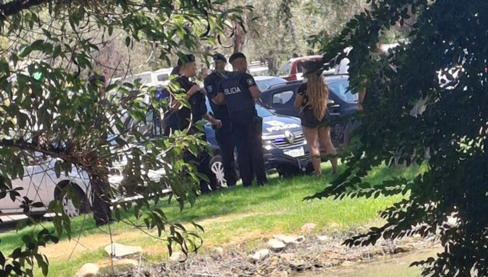 Rescataron a dos bebés del encierro de sus autos durante la ola de calor: cómo se debe actuar en estos casos. Foto; X @MATIPASCUALETTI / Nihuil