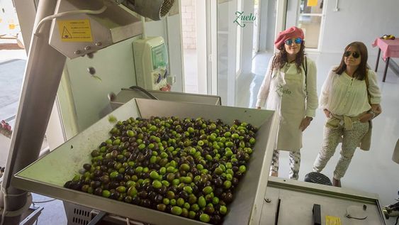 El autor propone diferentes prácticas para el control eficiente de plagas y el desarrollo de la actividad de manera sustentable. Advierte que se debe entender al olivar como un sistema complejo en el cual el ambiente domina los recursos. / Foto: Ignacio Blanco / Los Andes