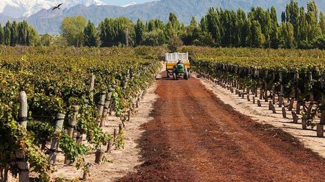 Durigutti Family Winemakers