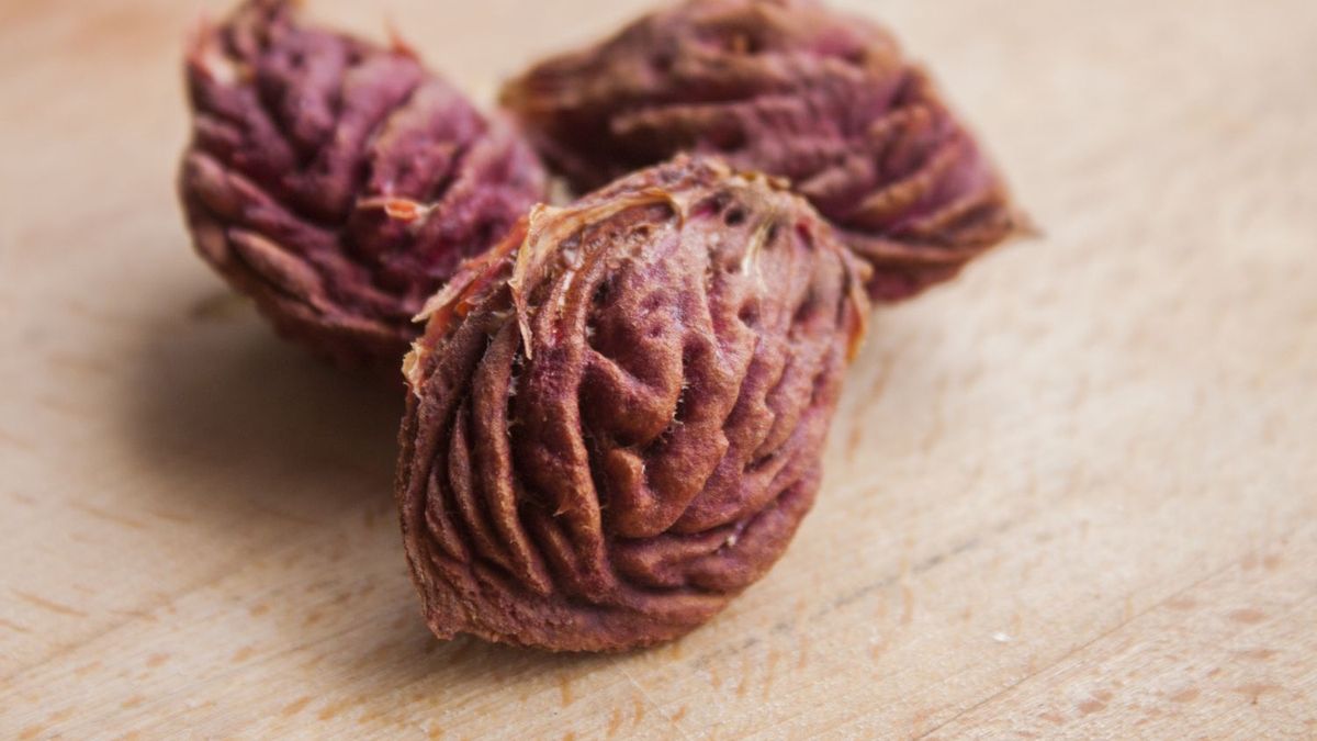 Quien tiene carozos de durazno en su casa, tiene un tesoro en sus manos: cómo reciclarlos con esta maravillosa idea