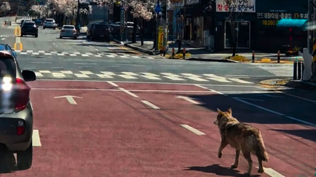 Podría ir preso por publicar una foto de IA: movilizó falsamente a toda la policía por un 