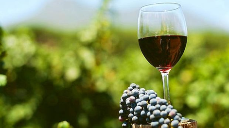 Andrés López, de Vinodata, contó en Aconcagua Radio cómo ha evolucionado el precio del vino