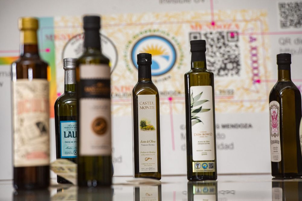 El aceite de oliva con IG de Mendoza garantiza calidad certificada y origen controlado.