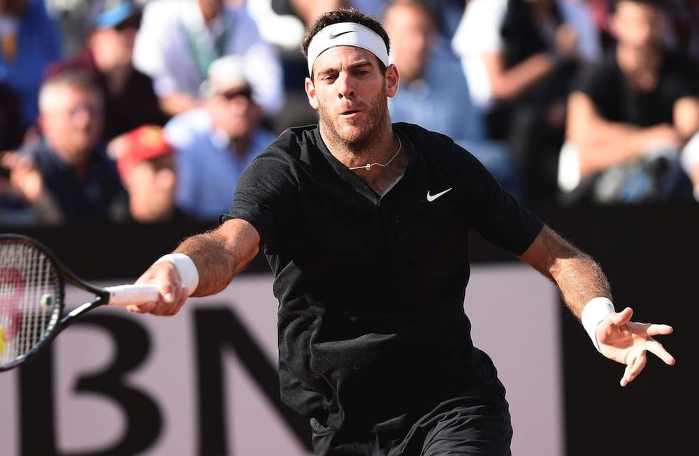 Del Potro y Schwartzman avanzan a paso firme en Roland Garros