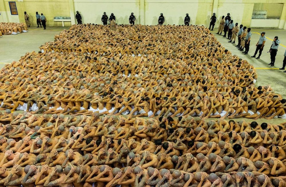 Fotografía cedida por el gobierno de El Salvador donde se registra el traslado de pandilleros al Centro de Confinamiento del Terrorismo (CECOT), hoy en La madrugada en Tecoluca (El Salvador). El Gobierno de El Salvador trasladó la madrugada de este viernes a 2.000 supuestos pandilleros a una nueva prisión que tiene capacidad para unas 40.000 personas, según informó el presidente Nayib Bukele. Foto: EFE/ Gobierno