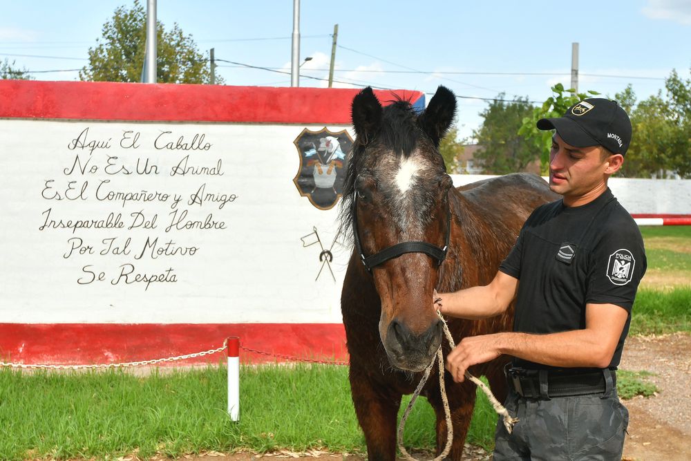 El auxiliar segundo Emanuel Salinas junto a Sadyn el "caballo escuela" de la Polic&iacute;a Montada que qued&oacute; ciego. | Foto: Daniel Caballero / Los Andes