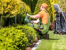 cuanto cobra un jardinero por limpiar y mantener un jardin chico en abril 2026