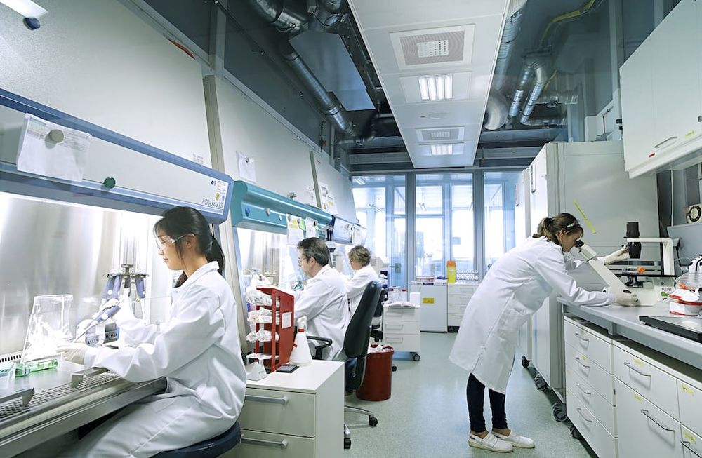 Salud Digital y Terapias Génicas, la revolución en salud que se viene en América Latina para el 2030