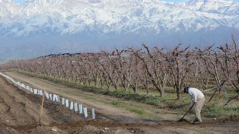 Los Andes | Mendoza es un desierto donde solo se puede ocupar el 4% por las limitaciones que genera la falta de agua.  - Claudio Gutierrez / Los Andes