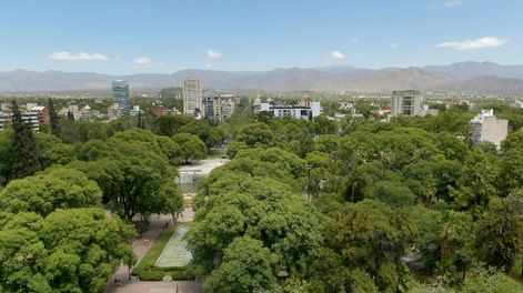 Arbolado en Mendoza. - Los Andes