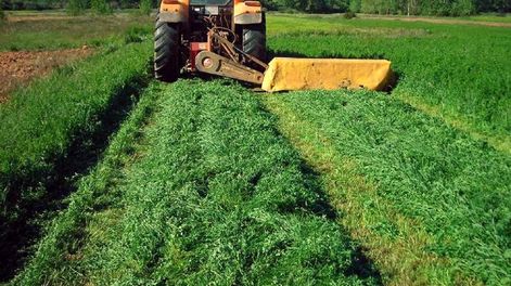 Una ola de innovación atraviesa el agro de los “farmers” - Por Jorge Castro