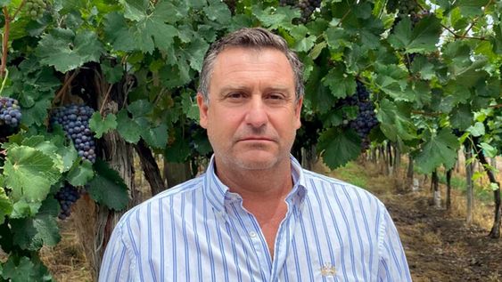 Ernesto Villasante es gerente y técnico de Agrícola Villasante, que produce y exporta uvas para consumo en fresco.