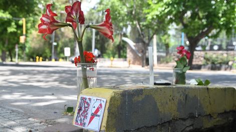 Habló la familia del sobreviviente de la tragedia del Parque: No iban en bicicleta, la mujer cruzó en rojo