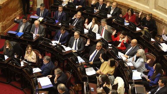 Senadores participan de la seción del día donde abordan varias temáticas entre ellas la referida al aumento para jubilados. FOTO NA DANIEL VIDES