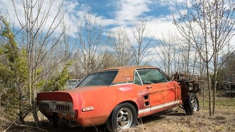 Tenía un Ford Mustang tirado en un descampado y no sabía que valía una fortuna