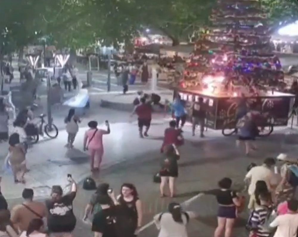 Rus y Ulpiano Suarez irán a la justicia por los actos vandálicos en la Peatonal Sarmiento