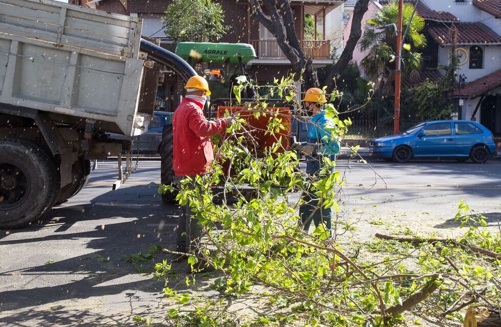 Recomendaciones y actividades suspendidas ante el alerta de viento zonda