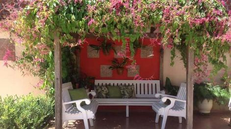 Los Andes | El sol directo en jardines y terrazas es uno de los factores a tener en cuenta, para elegir las especies y que resistan las altas temperaturas.