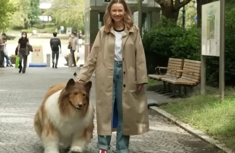 A través de un video, el hombre mostró la primera vez que salió a dar un paseo por la calle con su disfraz de perro collie. Gentileza: 20 minutos.