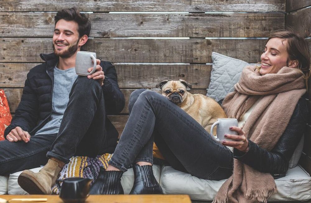Boom pet-friendly: cada vez más hoteles, restaurantes, bares y hasta edificios se suman a la tendencia