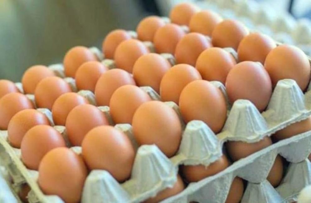 Maple de huevos\u002E (web)