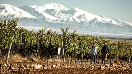 Mendoza recibirá a referentes internacionales de inversión durante el encuentro Invest In LAC 2026.