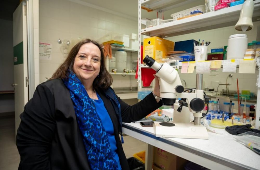 María Isabel Colombo, Premios Konex 2023 - Diploma al mérito en Ciencias Biomédicas Básicas.