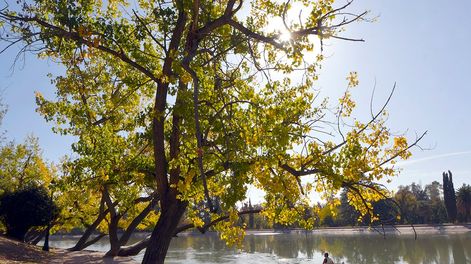 Parque General San MartínFoto: Orlando Pelichotti