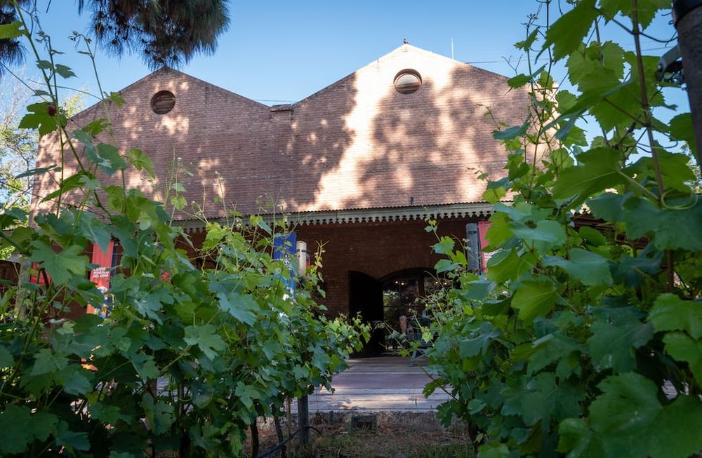 La quinta agronómica estaba ubicada donde hoy está la Enoteca y fue el lugar donde hace 80 años se recibían los primeros egresados de Ciencias Agrarias. Foto: Los Andes