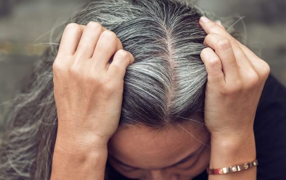 Arrancarte las canas y que se multipliquen es solo un mito.
