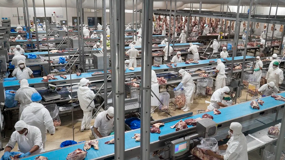 exportaciones de carne: china fija el cupo y aplicara un arancel del 55% al excedente