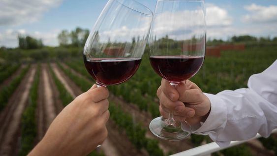 En el día del vino argentino, conocé más de la bebida nacional. - Ignacio Blanco / Los Andes