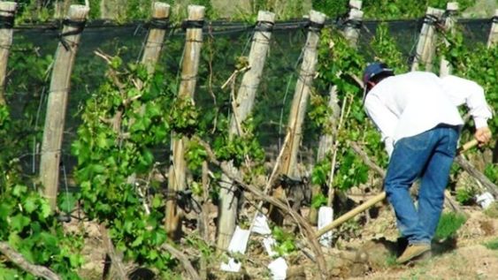 La evolución de la estructura productiva, el mercado de trabajo y las condiciones de vida en el período 2010-2023, eje del diagnóstico de la UCA.